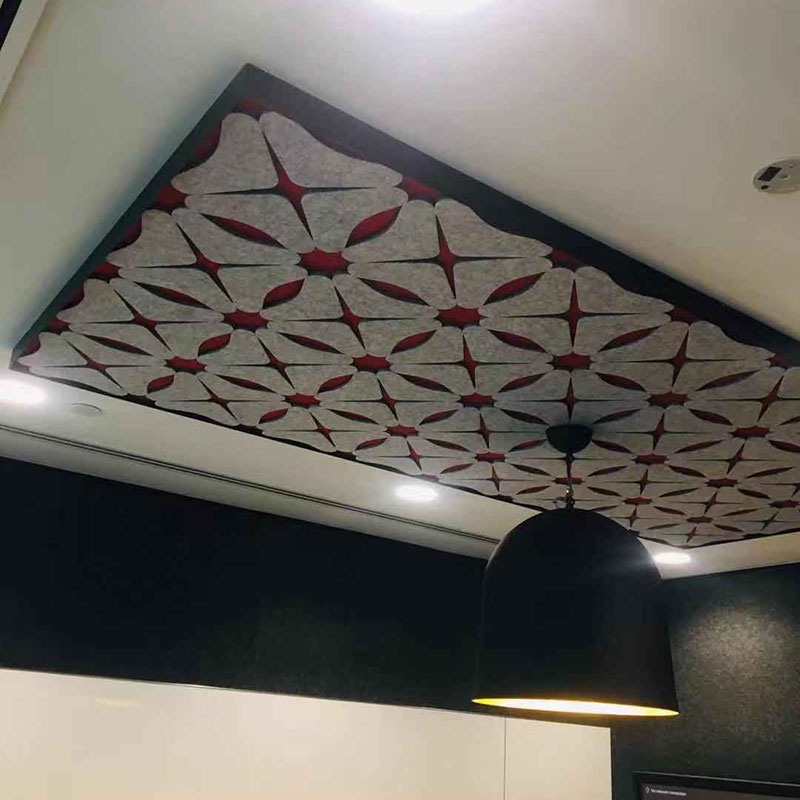 Acoustic Suspended Ceiling - 2 
