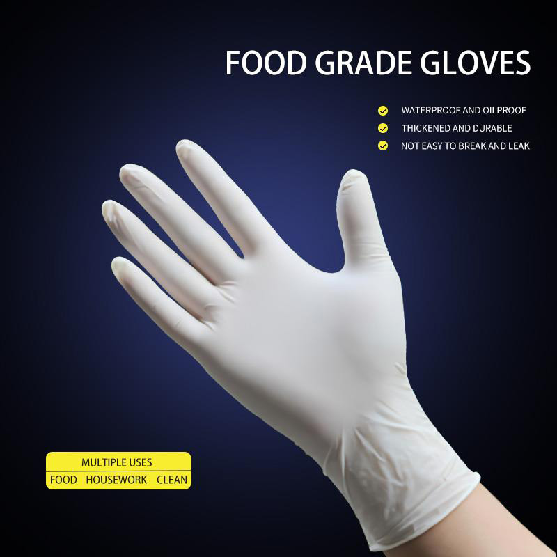 Disposable Latex Gloves - 4