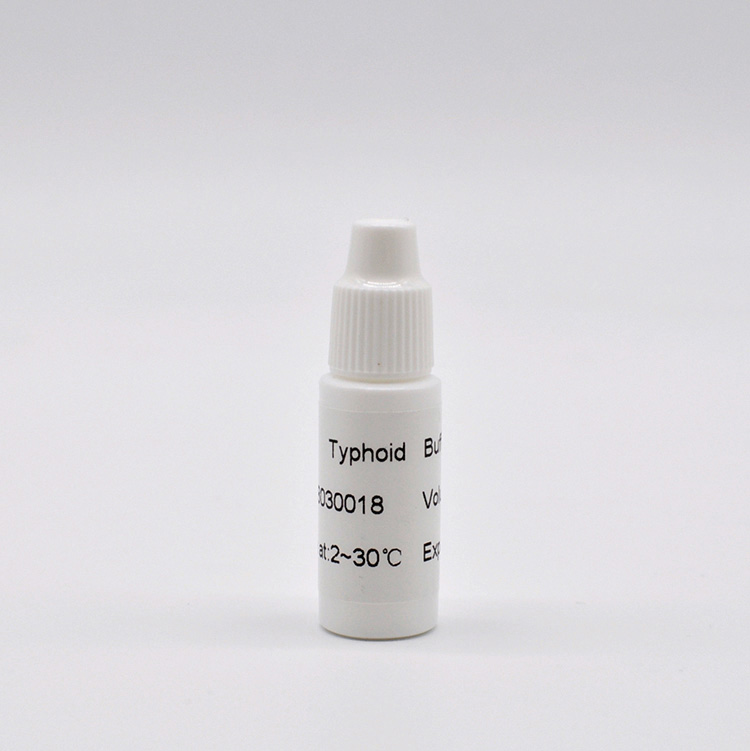 Penggunaan Medis Profesional Typhoid Igg Igm Rapid Test - 5 
