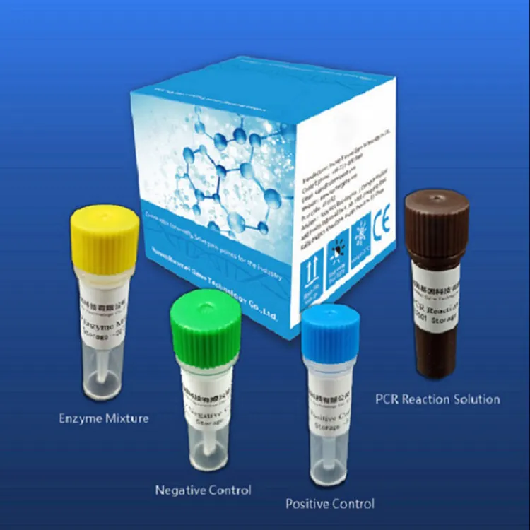 Reagent Diagnostic Test Kits For Covid-2019 Depend On Real-time Pcr Platform