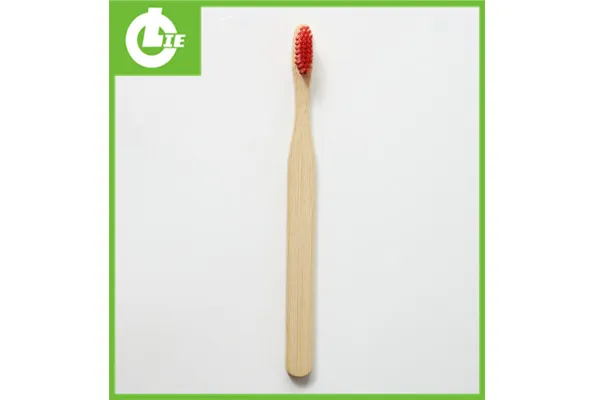 How did the bristles in the toothbrush get in?