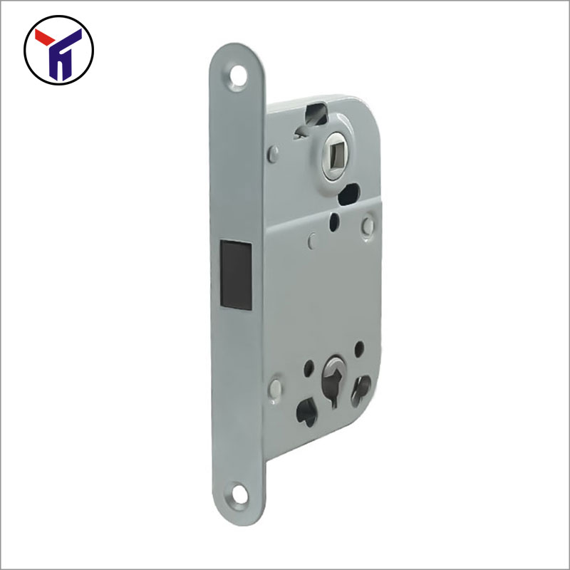Lock Case with Magnetic Closing Bolt
