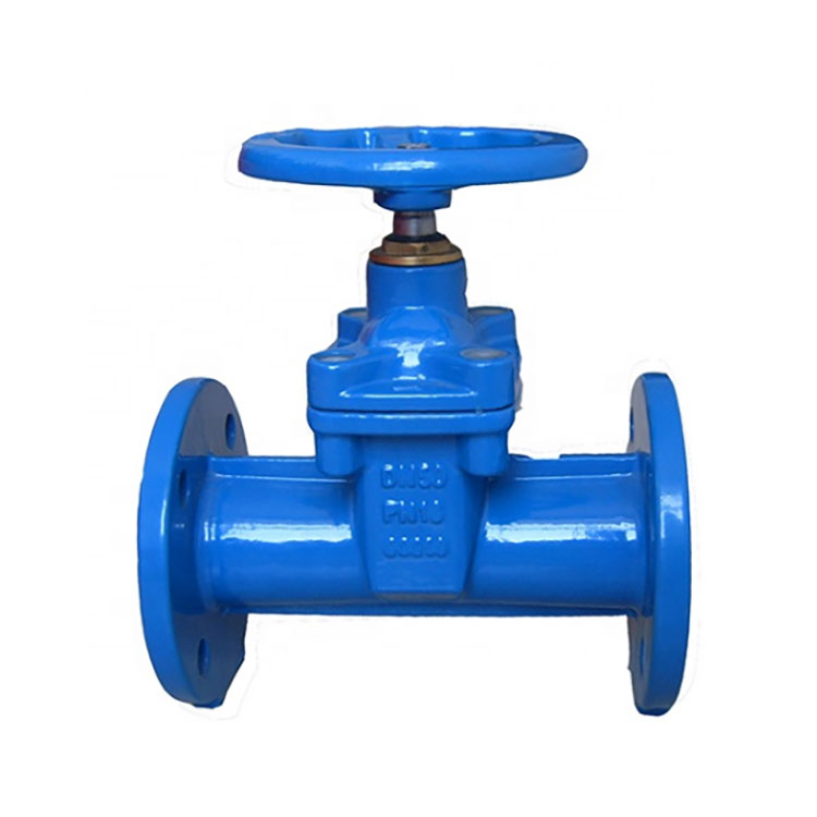 F5 Resilient Seat Gate Valve
