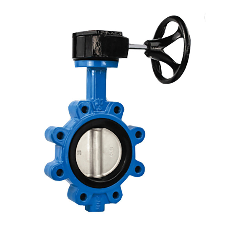 Lug Type Butterfly Valve With Gear