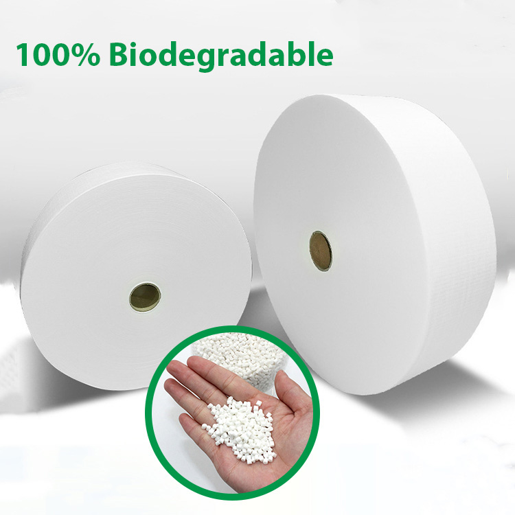 Biodegradable Nonwoven Fabric - 4 