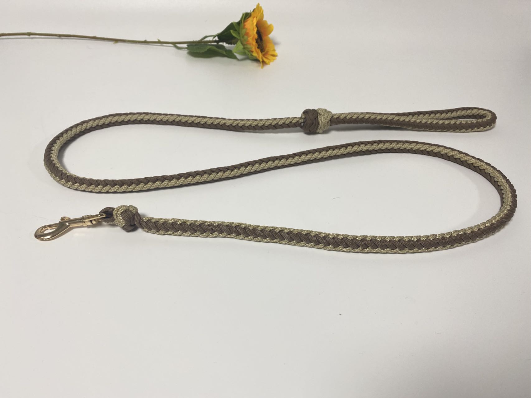 Pet Uiscedhíonach Rope Leash