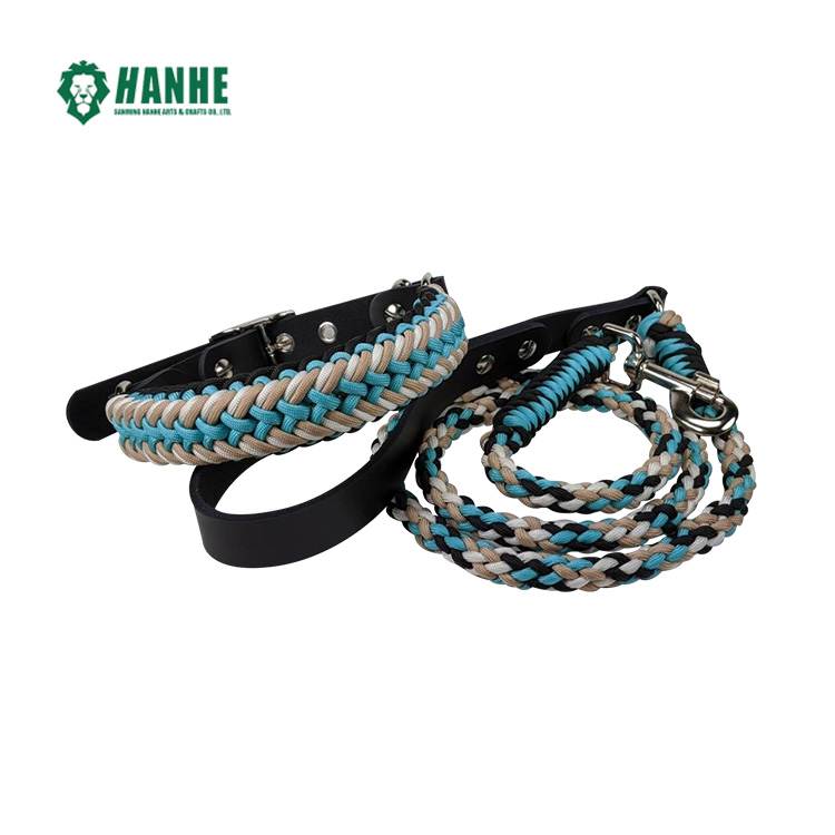 Train Your Dog to Use a  Nylon Rope Braided Paracord Dog Leash