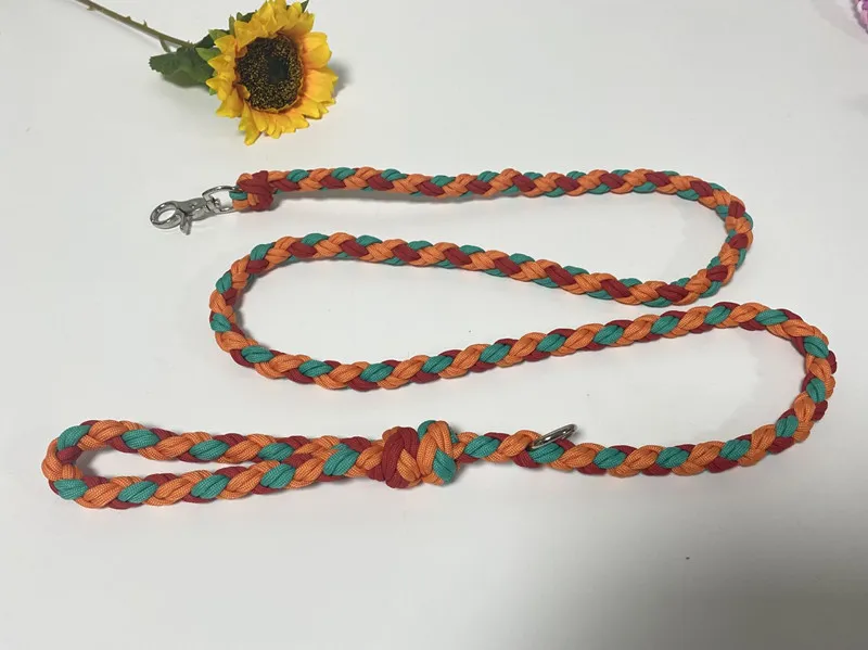 How to choose Dog Leash?