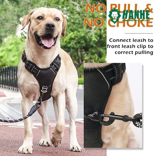 No Pull No Choke Front Lead Dog Collar Harness Set