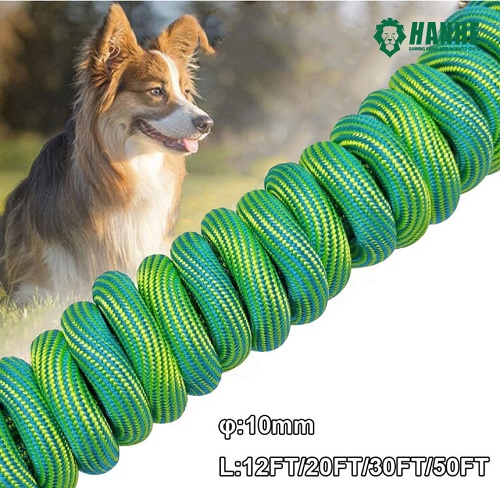 Recall Training Dog Rope Leash