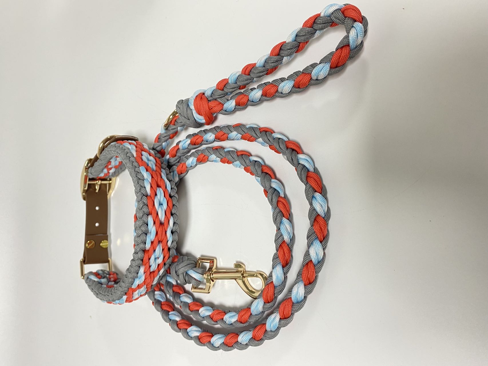 Set aus Halsband und Leine für Hunde