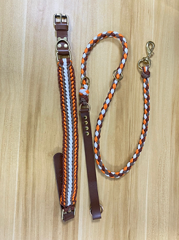 Custom Dog Collar and Leash