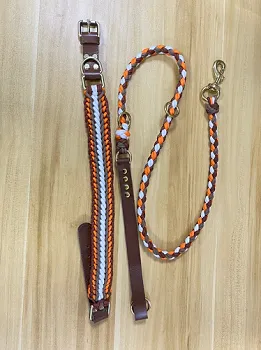 Custom Dog Collar and Leash