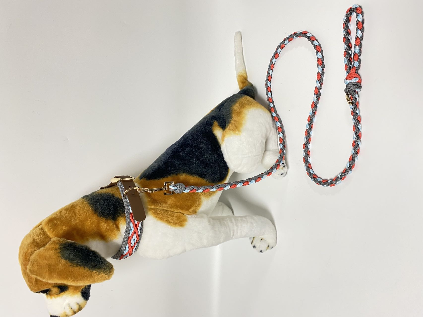 Set aus Halsband und Leine für Hunde