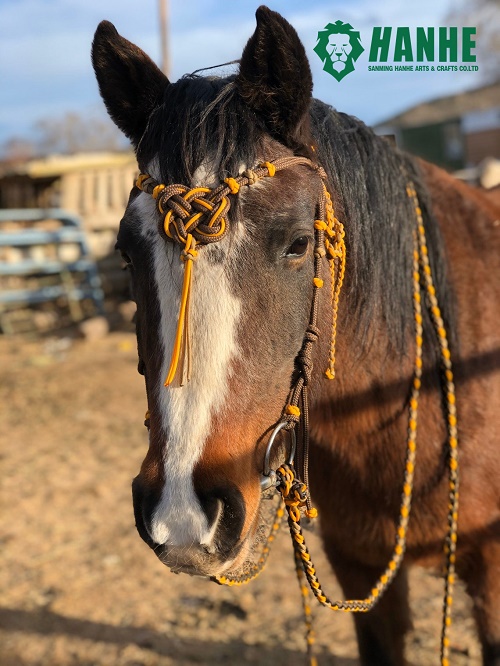 Paracord Horse Bridle And Reins