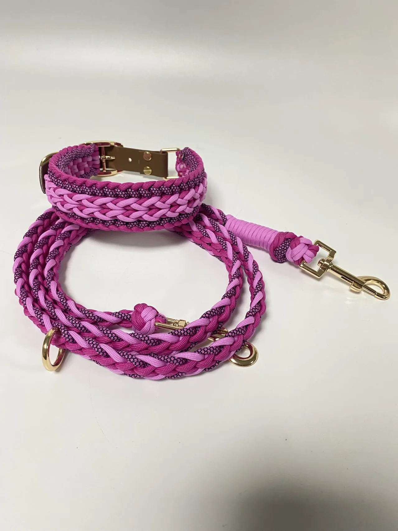 Multi Use Dog Leash Set