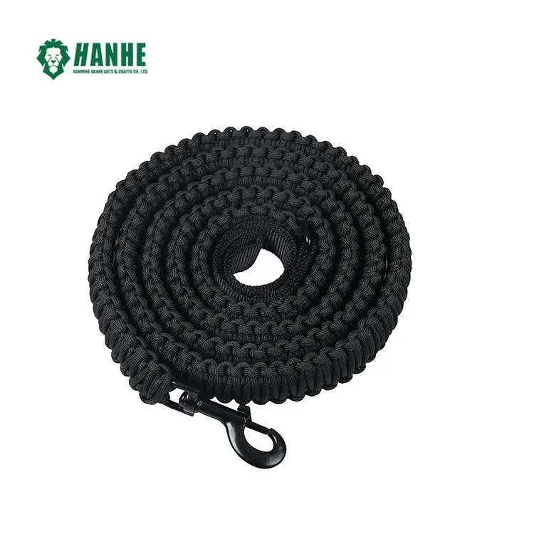 Laisse de chien Paracord corde d'escalade en nylon