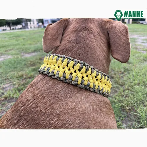 Trendy Paracord hundehalsbånd