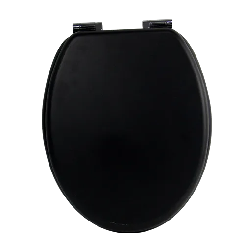 Matt black toilet seat