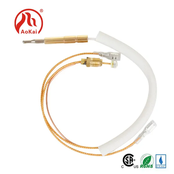 ʻO Thermocouple Fast Respense no ka mīkini home