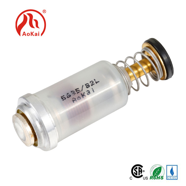 Lpg and Ng Magnet Valve for Gas Water Heater