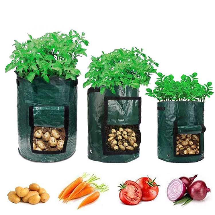 Razgradljiva PE vrečka za gojenje rastlin