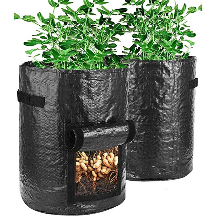 degradable plant pe cultivation bag