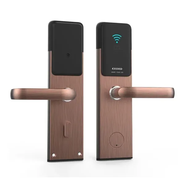 Funzione di Home Electronic Electric Tuya App Wifi Smart Lock