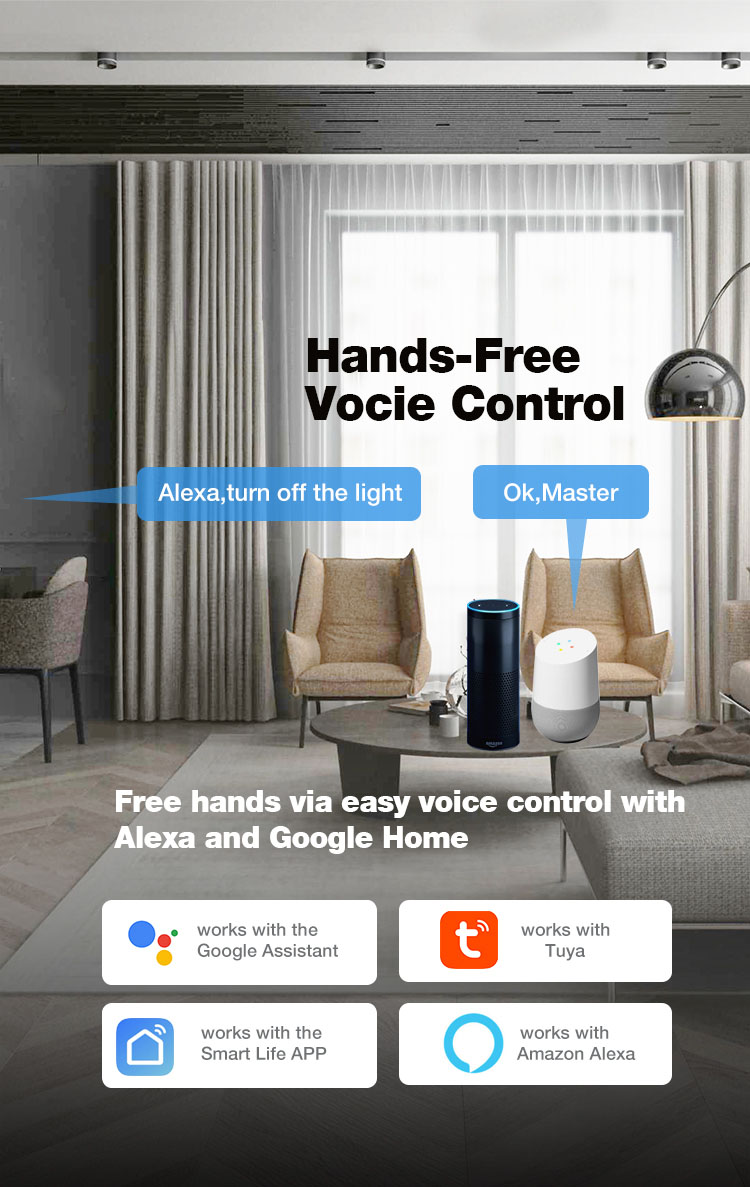 Alexa Google Home Smart Switches