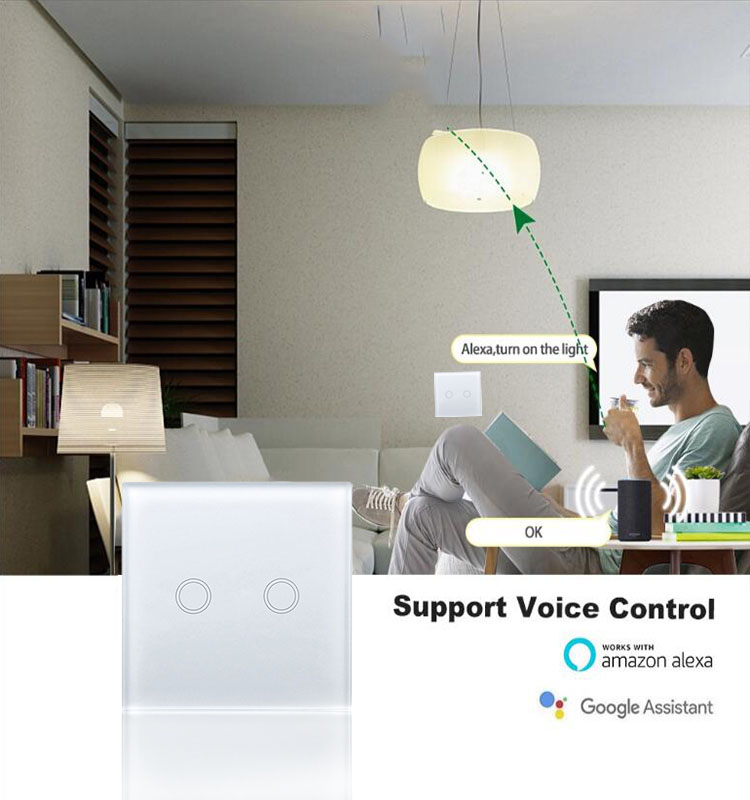 Work Alexa Google Assistant Wifi Smart Switch