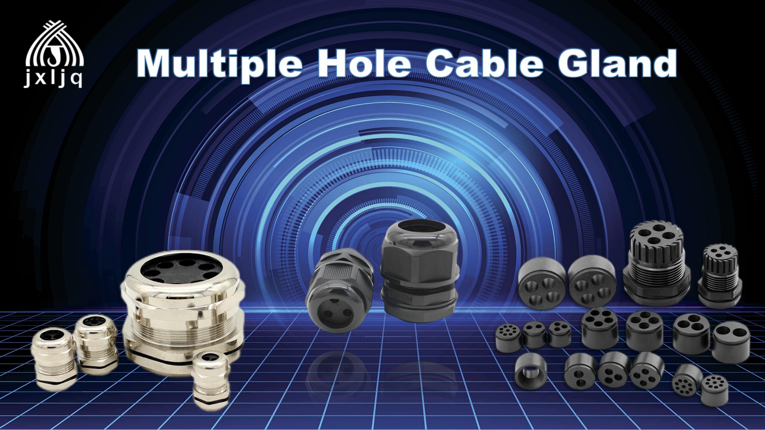 Giunsa paggamit ang Multiple Hole Cable Gland