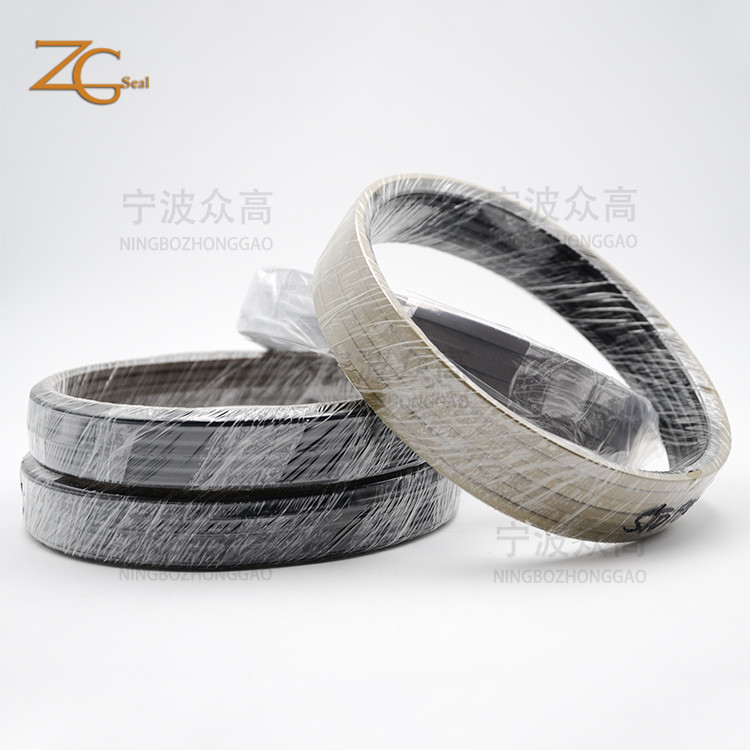 OEM Rubber Seal Glyd Ring