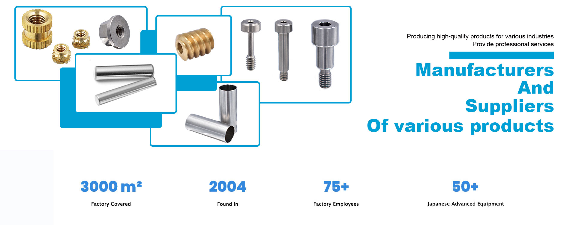 China Factory Directly Supply Sturdy Precision Screws