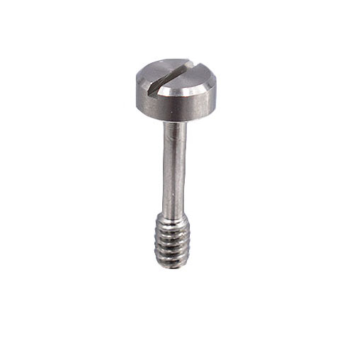 What is the reason for the discoloration of stainless steel screws?