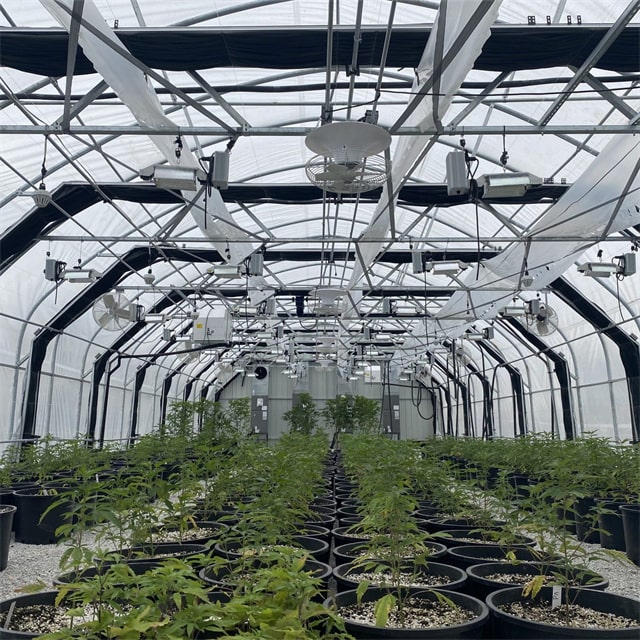 30'x80'Medical Greenhouses