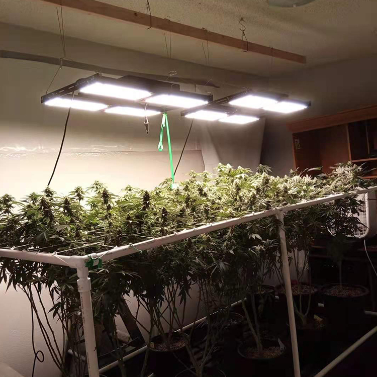 Full Spectrum Led Grow Light with Inventronics