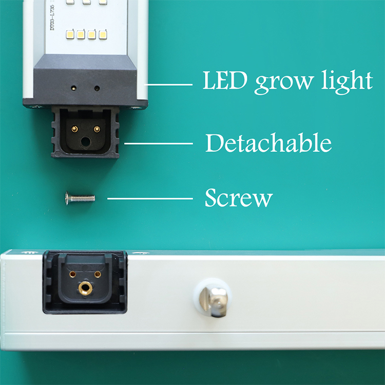 সিউল Led সঙ্গে LED Grow Light1000w