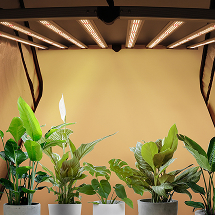 Светодиодный светильник для выращивания растений 640 Вт с Сеулом
