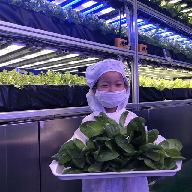 Indoor LED Vertical Farm for Fruit Vegetable