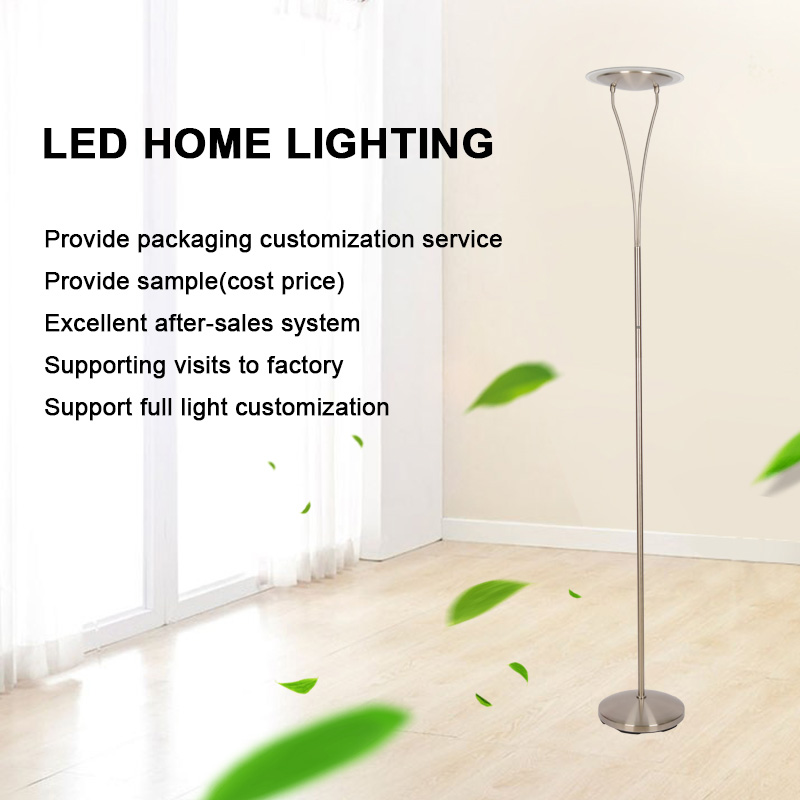 Decorative LED Single Pole Floor Lamp