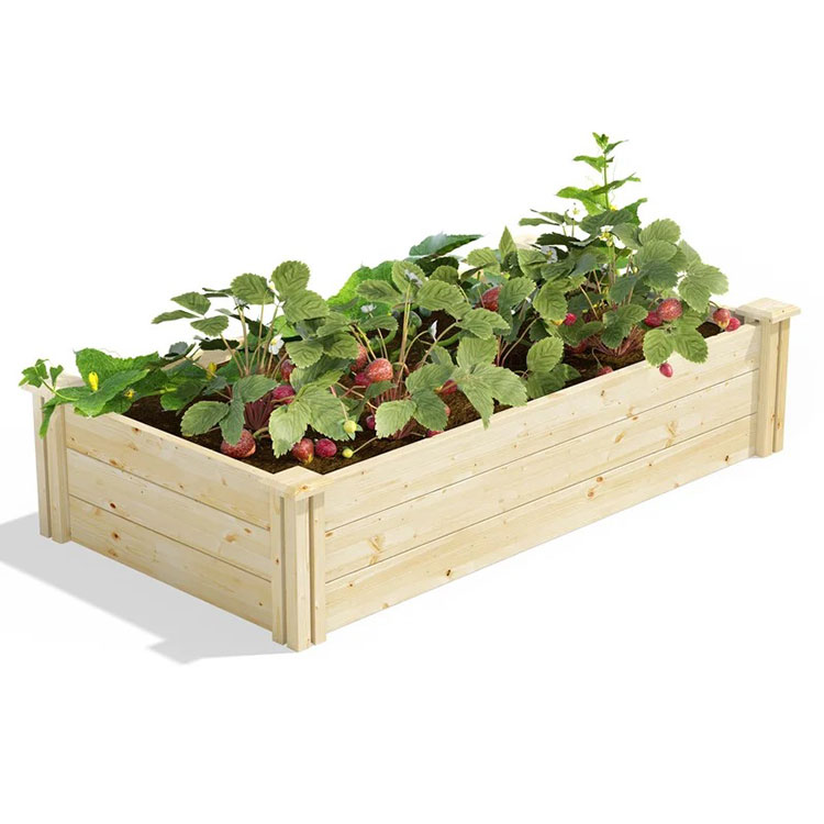 Brief introduction to raised beds