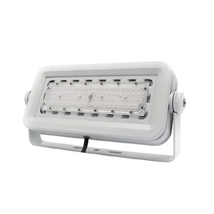 Lampione stradale a LED 50W 100W 200W