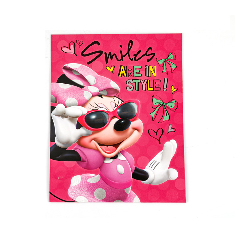 Minnie Mouse Paper Cover