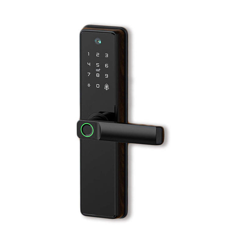 Hatz-marka biometrikoa Smart Lock—FM B2