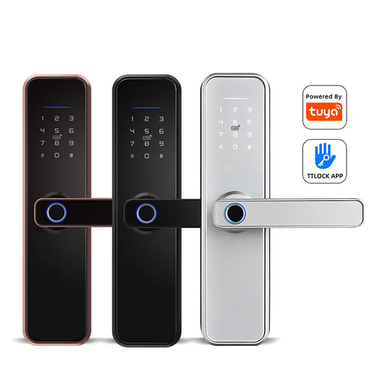 Biometric Smart Lock - FM 550