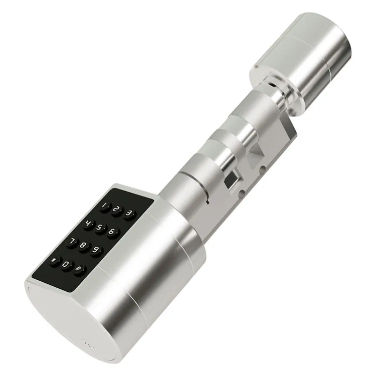 Smart Cylinder Lock – FM11