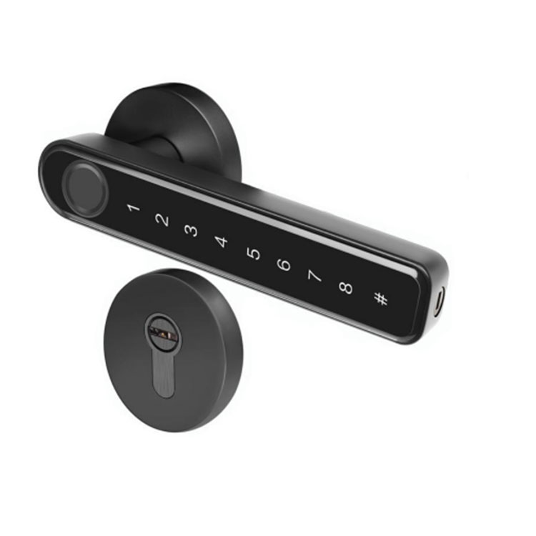 Smart Handle Lock — FM 290