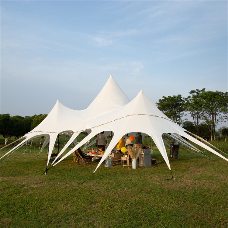 Outdoor Camping Canopy Shade Tent
