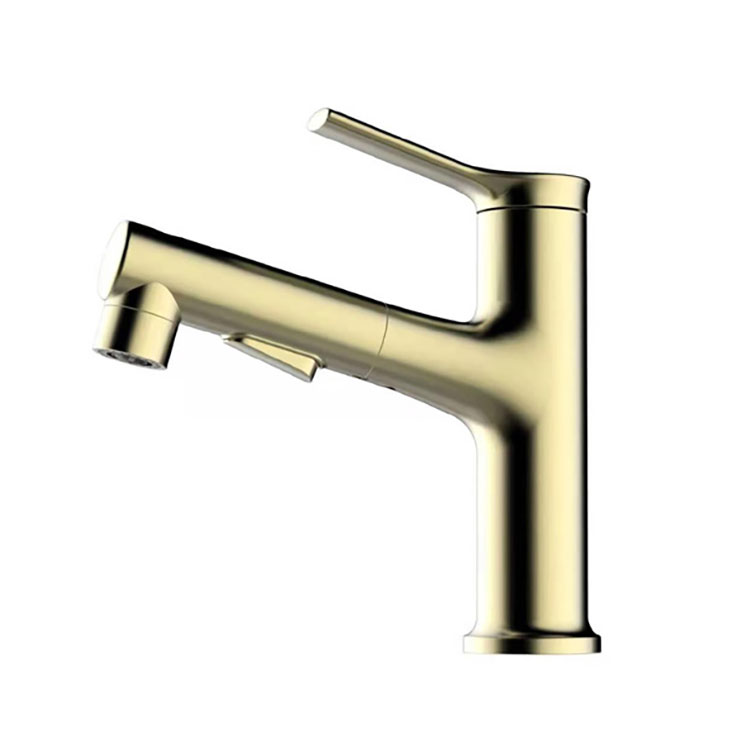 Basin Tap with Pull Down Sprayer