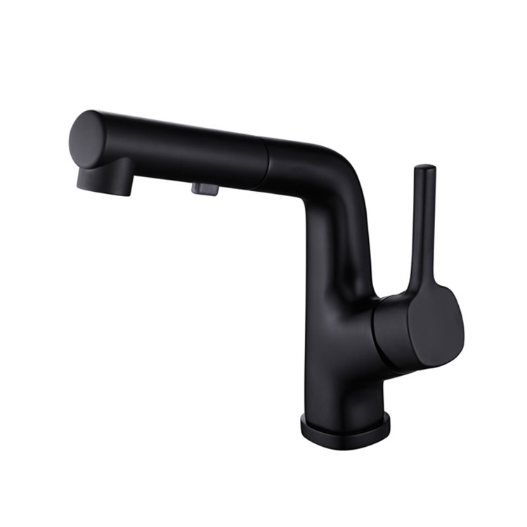 Bathroom Tap with Pull Down Sprayer